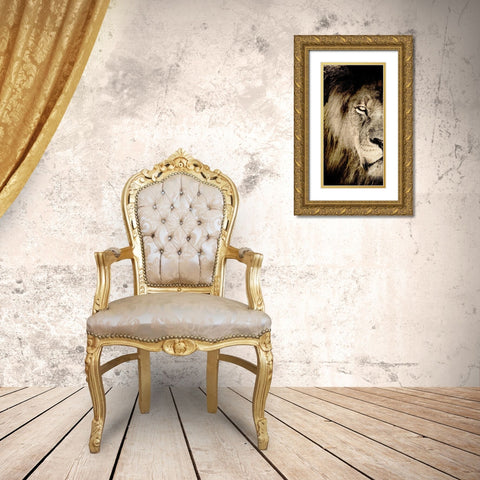 Gaze A Gold Ornate Wood Framed Art Print with Double Matting by Kimberly, Allen