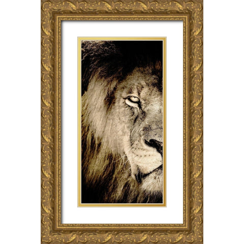 Gaze A Gold Ornate Wood Framed Art Print with Double Matting by Kimberly, Allen