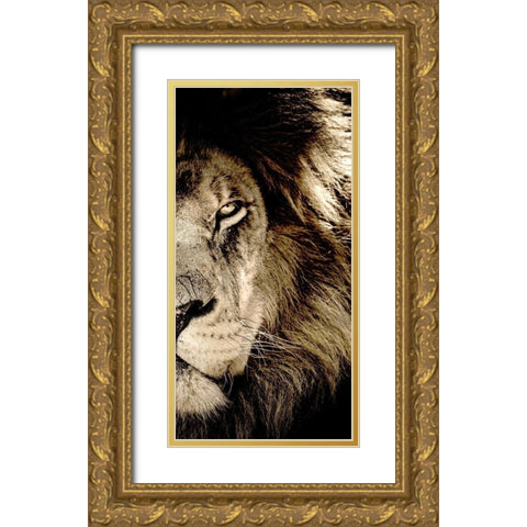 Gaze B Gold Ornate Wood Framed Art Print with Double Matting by Kimberly, Allen