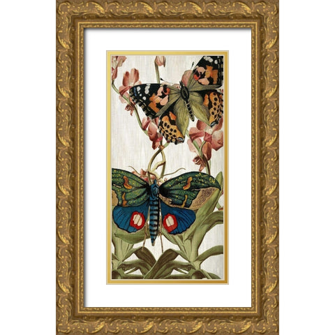 Butterfly World 3 Gold Ornate Wood Framed Art Print with Double Matting by Kimberly, Allen