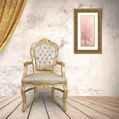 Pinkest Dawn 2 Gold Ornate Wood Framed Art Print with Double Matting by Kimberly, Allen