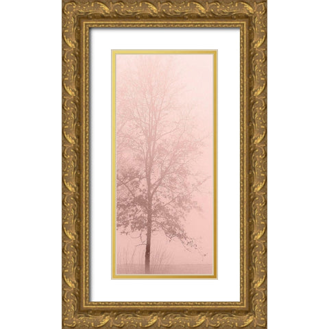 Pinkest Dawn 2 Gold Ornate Wood Framed Art Print with Double Matting by Kimberly, Allen