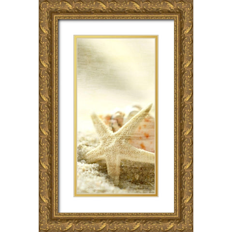 Starfish Beach 6 v2 Gold Ornate Wood Framed Art Print with Double Matting by Kimberly, Allen