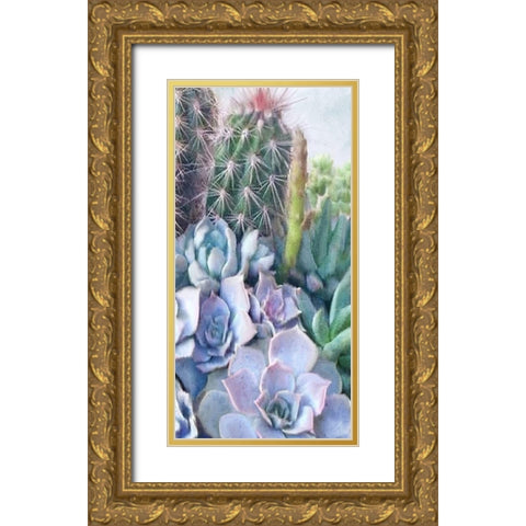 Succulent Garden 1 Gold Ornate Wood Framed Art Print with Double Matting by Kimberly, Allen
