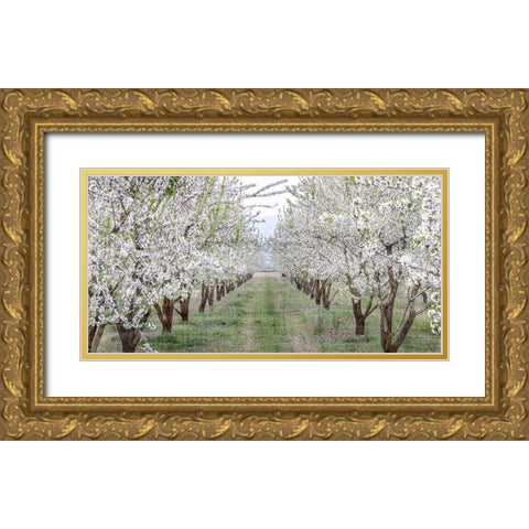 Countryside Gold Ornate Wood Framed Art Print with Double Matting by Kimberly, Allen