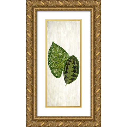 Botanical Greens 1 Gold Ornate Wood Framed Art Print with Double Matting by Allen, Kimberly