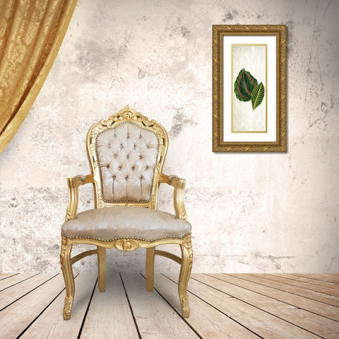 Botanical Greens 3 Gold Ornate Wood Framed Art Print with Double Matting by Allen, Kimberly