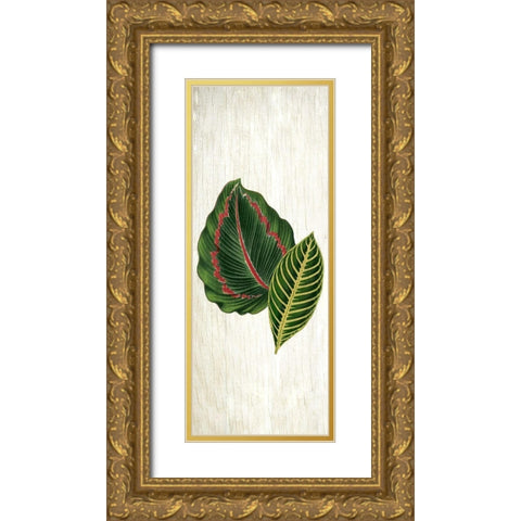 Botanical Greens 3 Gold Ornate Wood Framed Art Print with Double Matting by Allen, Kimberly