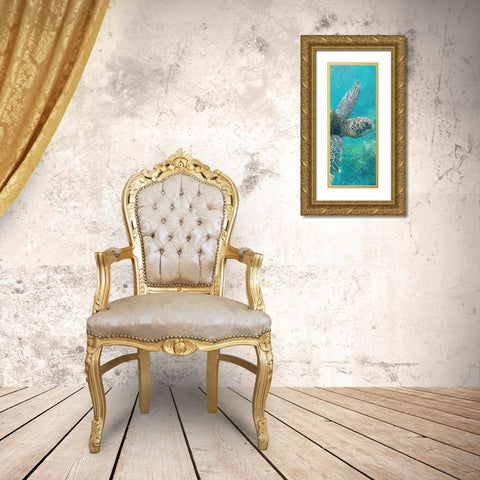 Sea Turtle 1 Gold Ornate Wood Framed Art Print with Double Matting by Allen, Kimberly