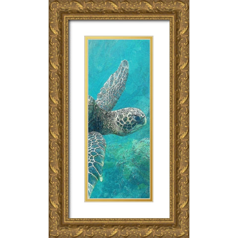 Sea Turtle 1 Gold Ornate Wood Framed Art Print with Double Matting by Allen, Kimberly