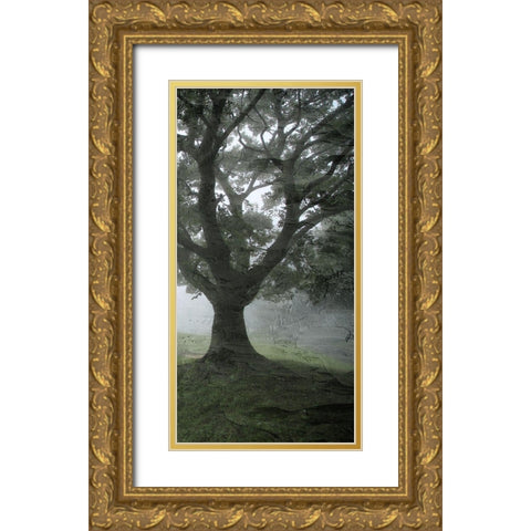 Summer Shades 3 Gold Ornate Wood Framed Art Print with Double Matting by Allen, Kimberly