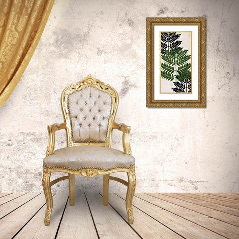 Pressed Ferns Panel 1 Gold Ornate Wood Framed Art Print with Double Matting by Allen, Kimberly