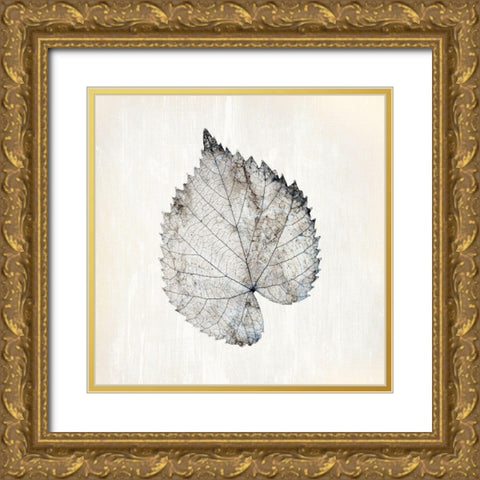 Marbled White 1 Gold Ornate Wood Framed Art Print with Double Matting by Kimberly, Allen