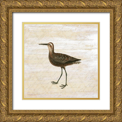 Shore Birds 2 Gold Ornate Wood Framed Art Print with Double Matting by Kimberly, Allen