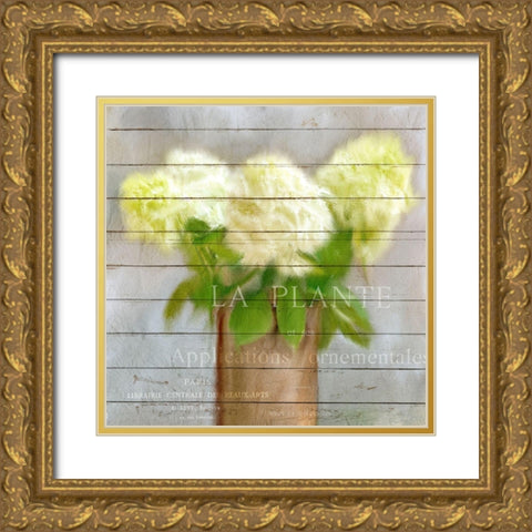 Hydrangeas in Copper Gold Ornate Wood Framed Art Print with Double Matting by Kimberly, Allen