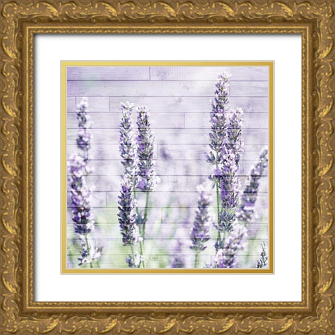 Lavender Fields 1 Gold Ornate Wood Framed Art Print with Double Matting by Kimberly, Allen