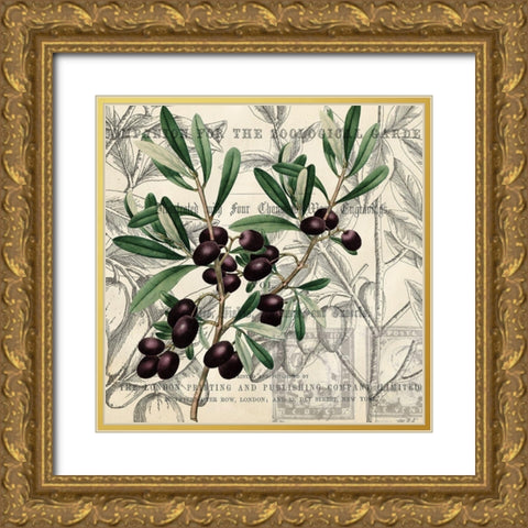Olive Branch 3 Gold Ornate Wood Framed Art Print with Double Matting by Kimberly, Allen