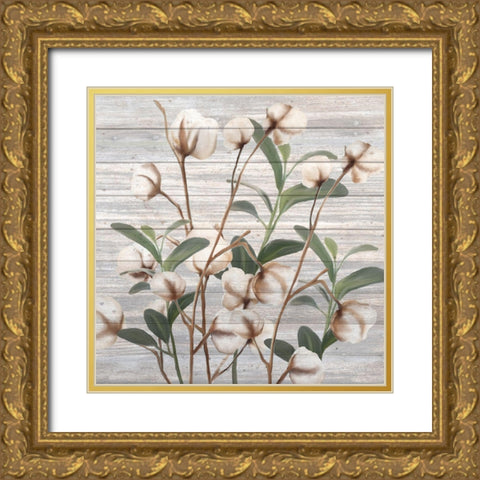 Cotton Days 3 Gold Ornate Wood Framed Art Print with Double Matting by Kimberly, Allen