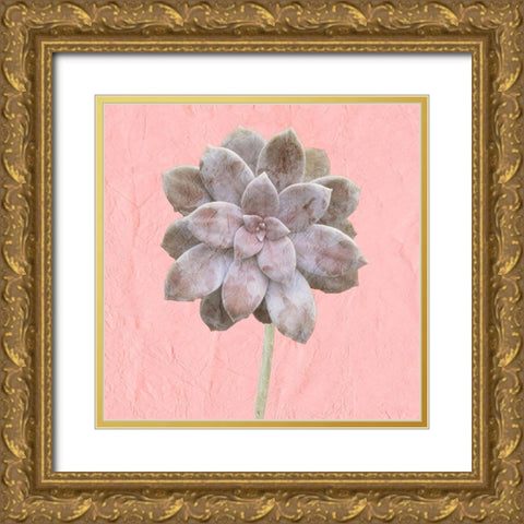 Succulent Pink Gold Ornate Wood Framed Art Print with Double Matting by Kimberly, Allen