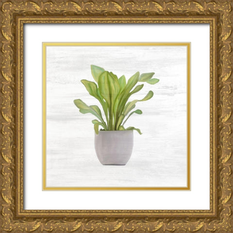 Spring Green 1 Gold Ornate Wood Framed Art Print with Double Matting by Kimberly, Allen