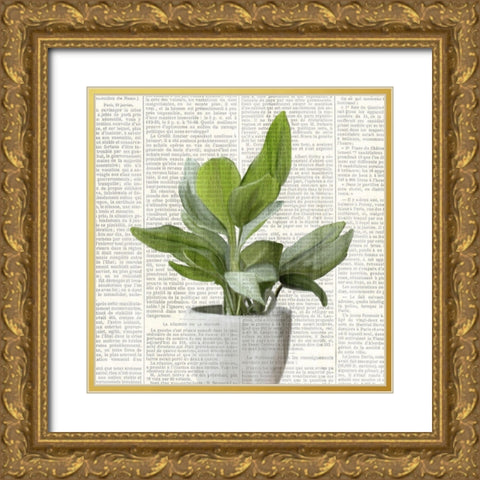 Potted Print 1 Gold Ornate Wood Framed Art Print with Double Matting by Kimberly, Allen