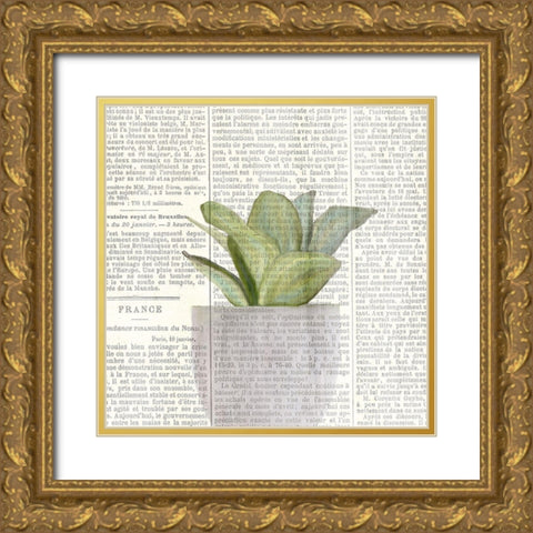 Potted Print 2 Gold Ornate Wood Framed Art Print with Double Matting by Kimberly, Allen