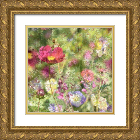 Wildflower Square 1 Gold Ornate Wood Framed Art Print with Double Matting by Kimberly, Allen