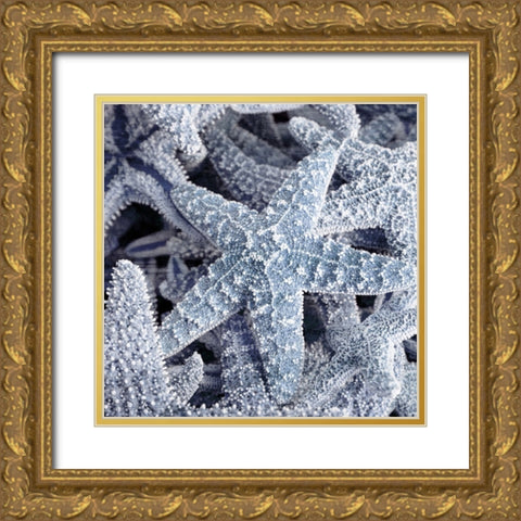 Starfish Beach 2 V3 Gold Ornate Wood Framed Art Print with Double Matting by Allen, Kimberly