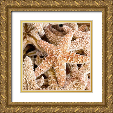 Starfish Beach 2 v2 Gold Ornate Wood Framed Art Print with Double Matting by Kimberly, Allen