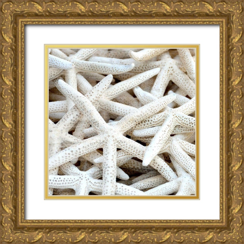 Starfish Beach 3 v2 Gold Ornate Wood Framed Art Print with Double Matting by Kimberly, Allen