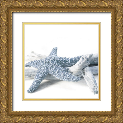 Starfish Beach 4 V3 Gold Ornate Wood Framed Art Print with Double Matting by Allen, Kimberly