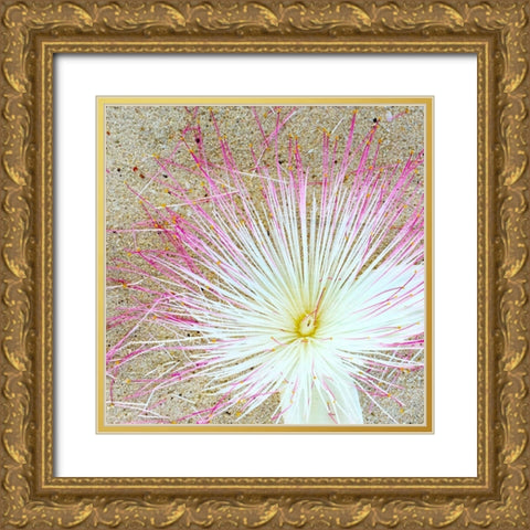 Beach Daze 5 Gold Ornate Wood Framed Art Print with Double Matting by Kimberly, Allen