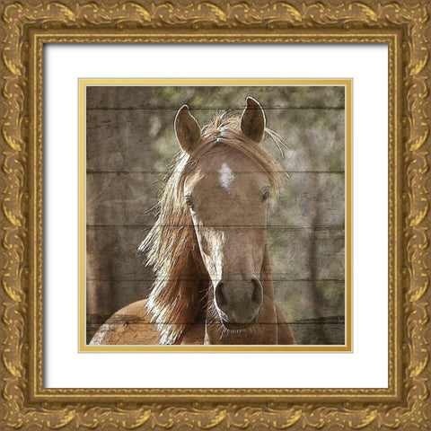 Farm Life 6 Gold Ornate Wood Framed Art Print with Double Matting by Kimberly, Allen