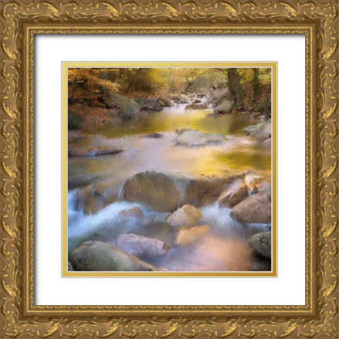River Run Gold Ornate Wood Framed Art Print with Double Matting by Kimberly, Allen