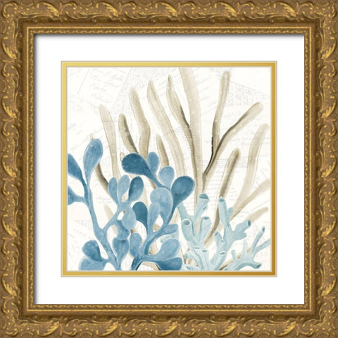 Coral Square 3 Gold Ornate Wood Framed Art Print with Double Matting by Kimberly, Allen