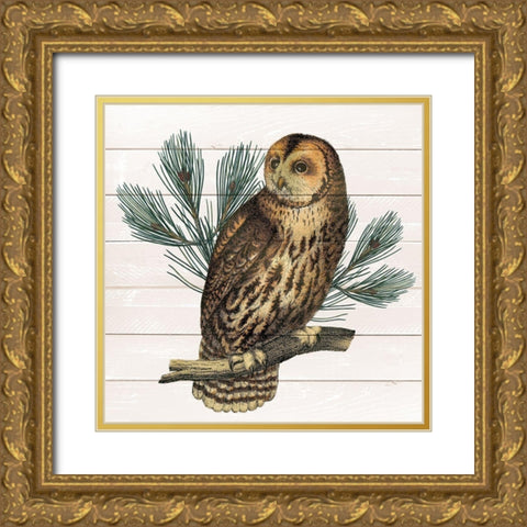 Owl 1 Gold Ornate Wood Framed Art Print with Double Matting by Kimberly, Allen