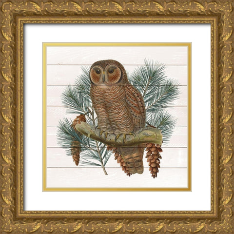 Owl 2 Gold Ornate Wood Framed Art Print with Double Matting by Kimberly, Allen