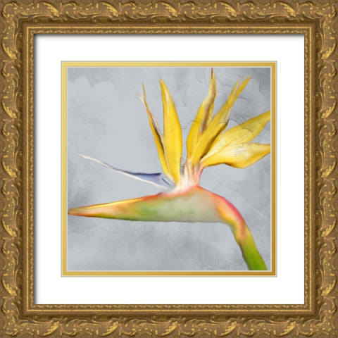 Strelitzia 2 Gold Ornate Wood Framed Art Print with Double Matting by Kimberly, Allen