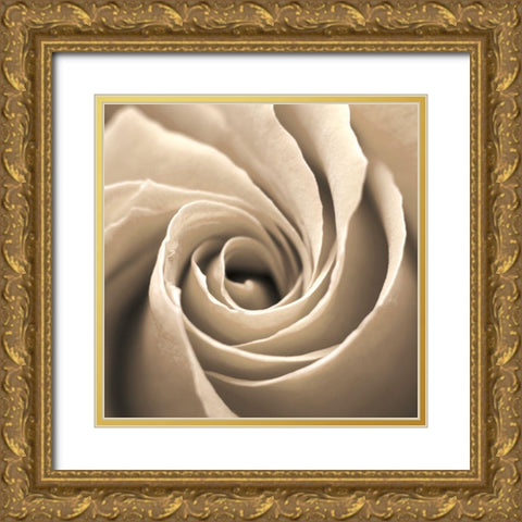 Paris Cafe 2 Gold Ornate Wood Framed Art Print with Double Matting by Kimberly, Allen