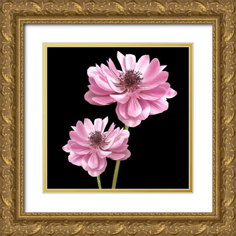 He Heals Blossoms 3 Gold Ornate Wood Framed Art Print with Double Matting by Allen, Kimberly