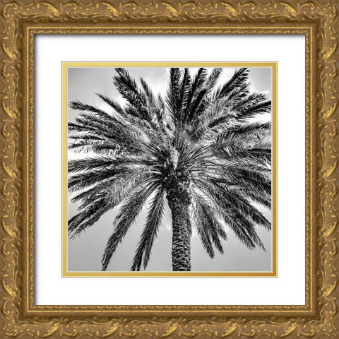 Under the Palm Gold Ornate Wood Framed Art Print with Double Matting by Allen, Kimberly
