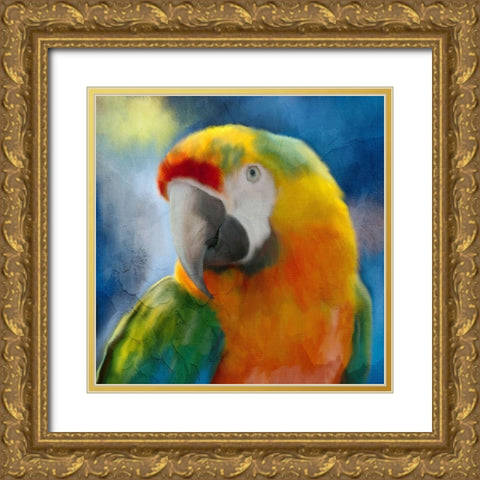 Parrot Love Gold Ornate Wood Framed Art Print with Double Matting by Allen, Kimberly