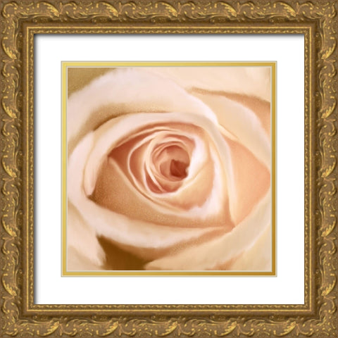 Rosey Gold Ornate Wood Framed Art Print with Double Matting by Allen, Kimberly