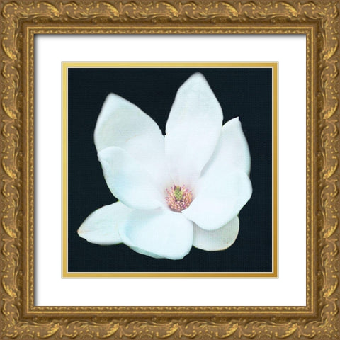 Magnolia 2 Gold Ornate Wood Framed Art Print with Double Matting by Allen, Kimberly