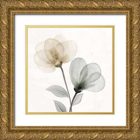 Open Bloom 1 Gold Ornate Wood Framed Art Print with Double Matting by Allen, Kimberly