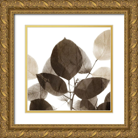 Chocolate Leaves 1 Gold Ornate Wood Framed Art Print with Double Matting by Allen, Kimberly