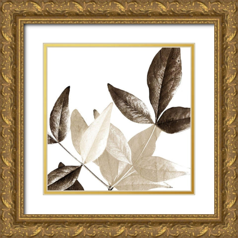 Chocolate Leaves 2 Gold Ornate Wood Framed Art Print with Double Matting by Allen, Kimberly