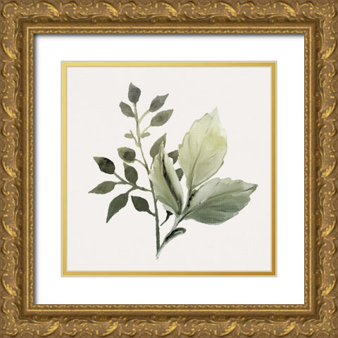 Watercolor Sage 2 Gold Ornate Wood Framed Art Print with Double Matting by Allen, Kimberly