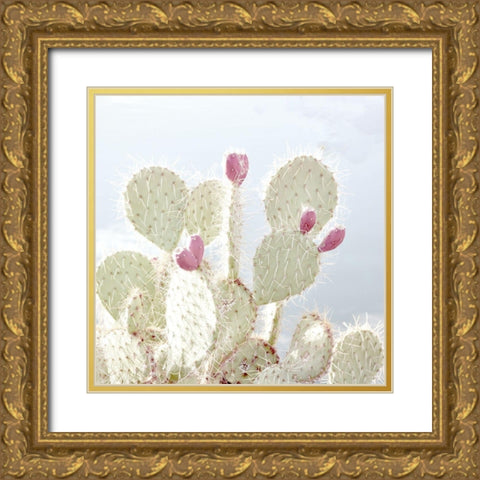 Cactus Blossom Gold Ornate Wood Framed Art Print with Double Matting by Allen, Kimberly