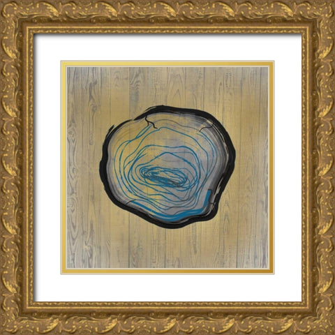 Country Minerals 1 Gold Ornate Wood Framed Art Print with Double Matting by Allen, Kimberly